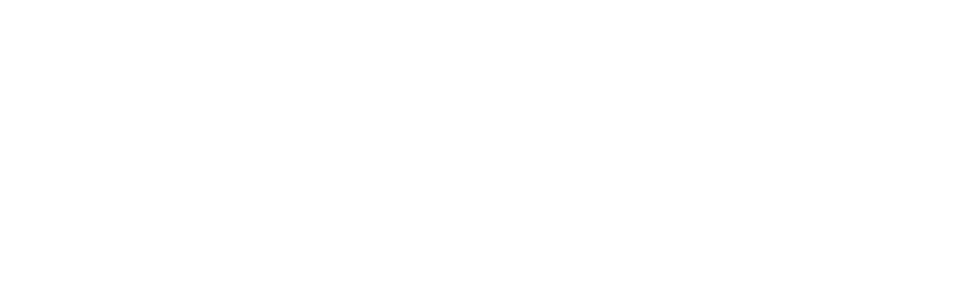 Logo_DELOITTE
